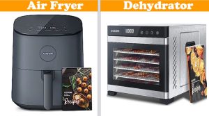 Air Fryer vs Dehydrator: Which One is Best Fit to Your Kitchen